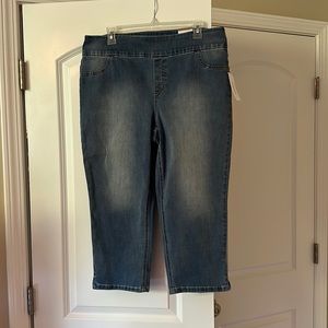 Chico’s Stretch Denim Jegging Capris